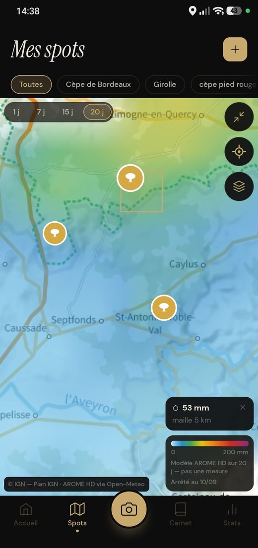 Calque pluie : cumul des vingt derniers jours en dégradé, 53 mm relevés sur la maille consultée.