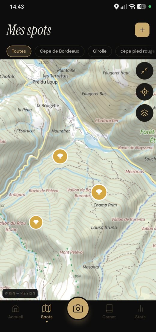 Calque relief : carte topographique IGN avec courbes de niveau, vallons et sentiers.